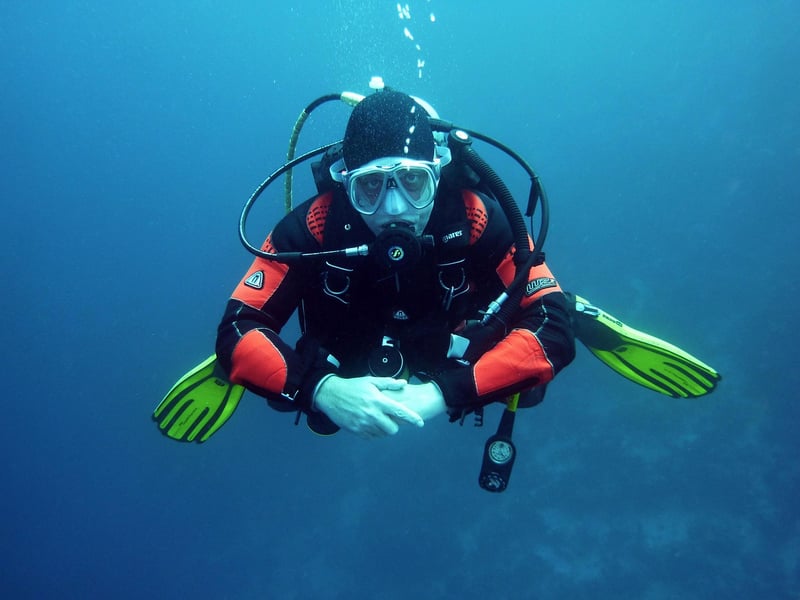 Butterfly Effect Dives